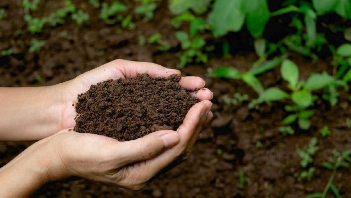 Mengatasi Pencemaran Tanah